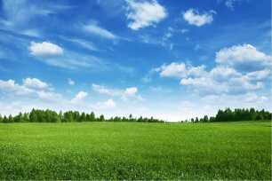 Green field and trees under blue sky.
